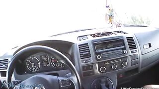 A cute chick hitchhiked and got a ride from a guy who agreed to take her far