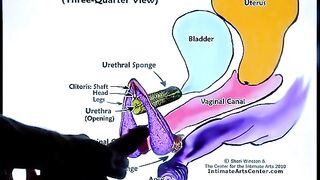 How to squirt like a pro with Mr. PussyLicking’s ultimate tutorial!