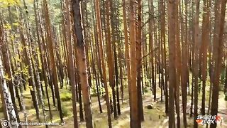 Babe fucked in the woods by a guy with a big cock