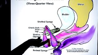 How to squirt? The best tutorial is here! Do not waste your time!
