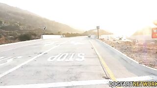 Aliya Brynn gets her pussy railed by a huge black cock in intense action