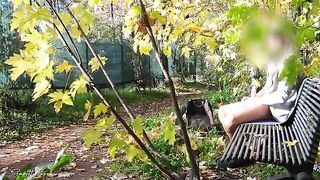 A riskier dick flash in the park with a hot MILF