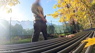 A riskier dick flash in the park with a hot MILF