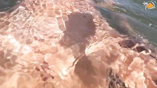 Couple fucks publicly on the beach in Valencia