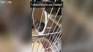 A couple has sex in a capsule hostel and then continue their journey to the big city