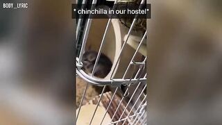 A couple has sex in a capsule hostel and then continue their journey to the big city