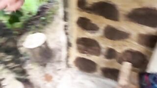 Couple getting caught fucking in the middle of the jungle paradise