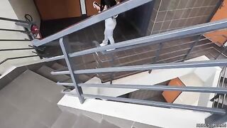 Latina chick with perfect ass gets fucked in the elevator and toilet by two fake agents