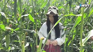 A security guard caught a thief in the act in a cornfield and issued a ticket