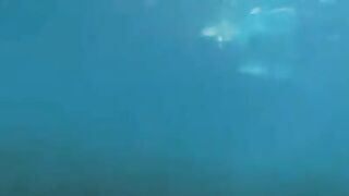 Aqualangists enjoy intense sex at the bottom of the sea