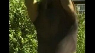 A man caresses his big cock in the hayloft with passion