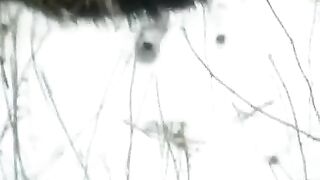 Winter blowjob on the street - Eporn