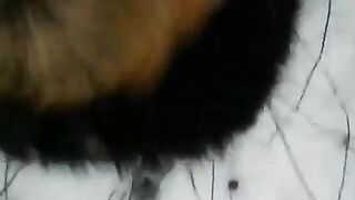 Winter blowjob on the street - Eporn