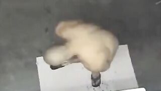 A naked man has been spied on in the shower, and it’s quite a scene