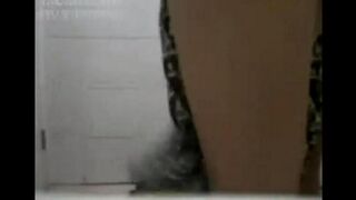 Asian porn with beautiful Chinese women on rollers