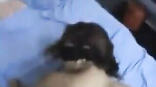 The girl with a flexible back pierced her ass with enthusiasm