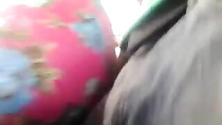 A riser paws at girls on the bus, capturing a wild ride