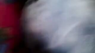A riser paws at girls on the bus, capturing a wild ride
