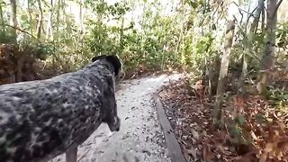 A man fucks his girl in the jungle in a thong