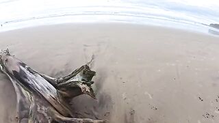 The beach is always damp — from the water and because of it, an exclusive hardcore scene